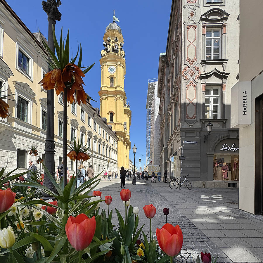 Fotospot München mit dem Smartphone mit der Theatinerkirche und Blumen im Vordergrund